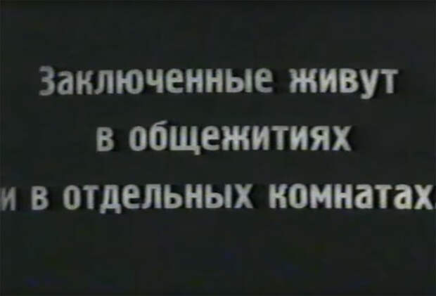 Как советским гражданам врали про концлагеря.