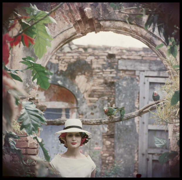 Портретная фотография. Куба, 1958 год.