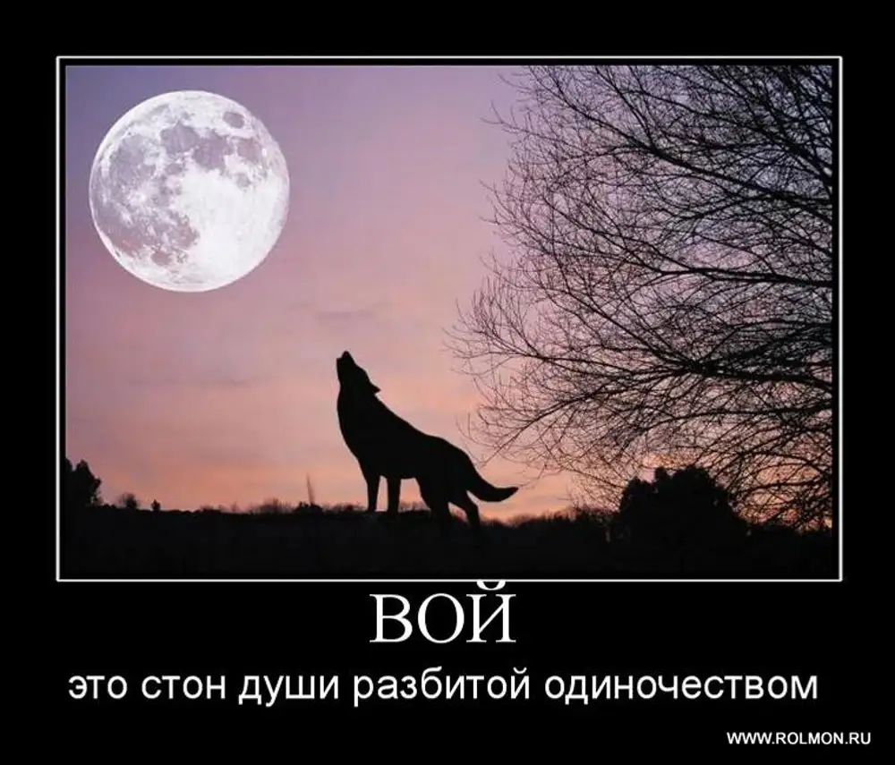Воет днем человек. Хоть волком вой. Волком выть хочется. Хочется выть на луну. Цитаты волка про одиночество.
