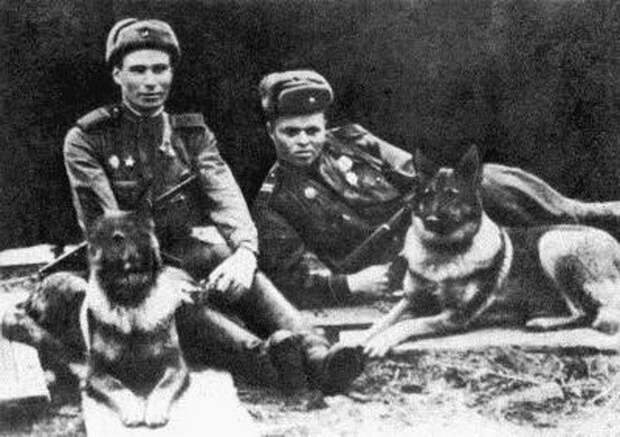 Псы войны война, история, ссср, факты