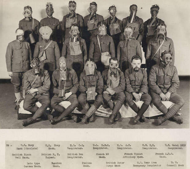 Голуби и противогазы: другая сторона Первой мировой