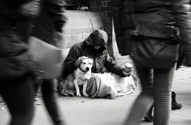 dogs_dont_care_about_money_all_they_need_is_love_640_05