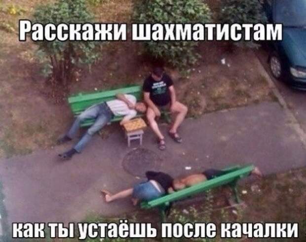 Прикольные фотомемы для настроения (31 шт)