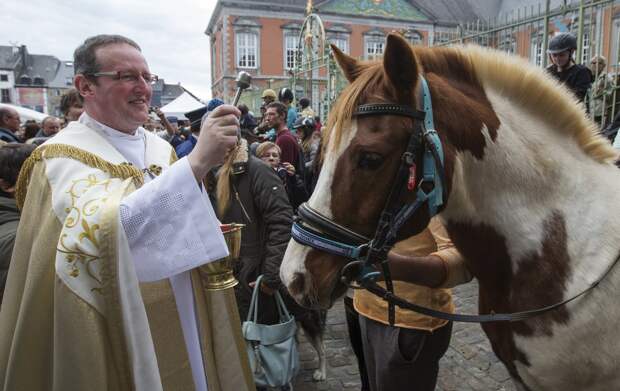 В Бельгии проводят церемонии благословения животных