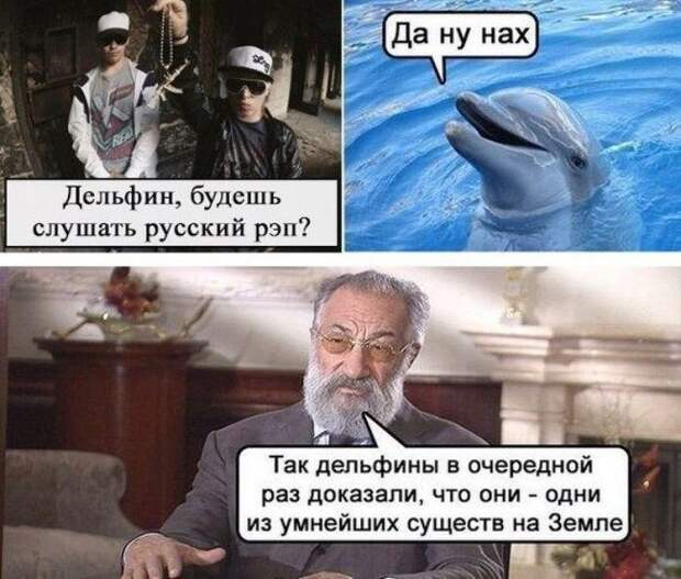 Подборка фотоприколов