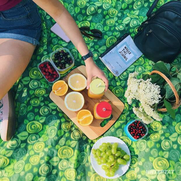 Пикникка барганда нинди ризыклар алу куркыныч?