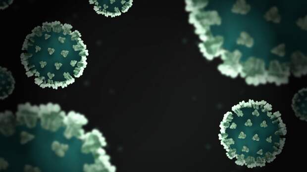 Названы два вируса, которые могут стать следующей глобальной угрозой