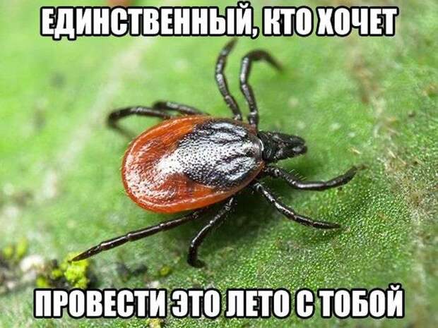 Забавные картинки Забавные картинки