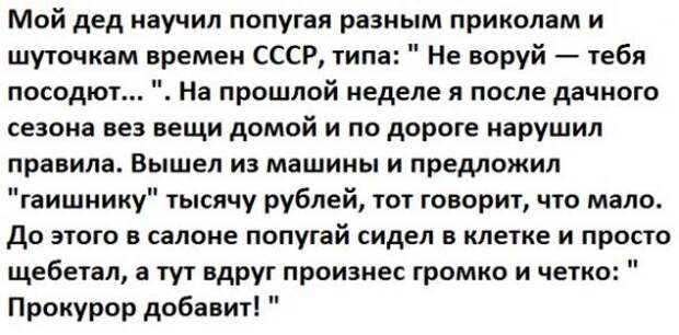 Подборка автоприколов - 42