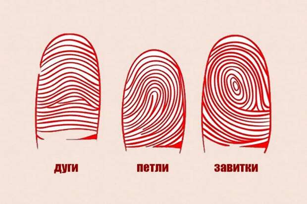 15 интересных фактов о людях