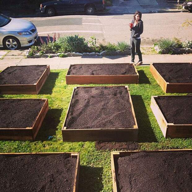 Всего за 60 дней этот парень вырастил крутой сад перед домом