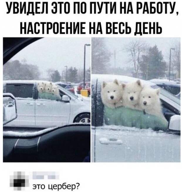 Смешные комментарии