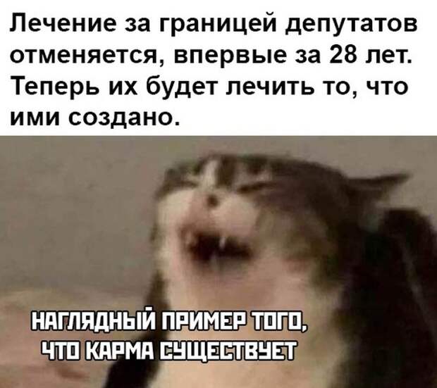 Смешные фото утро 24 марта 2020