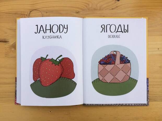 Самый смешной чешско - русский язык с картинками похожие и разные, русский язык, чешский язык