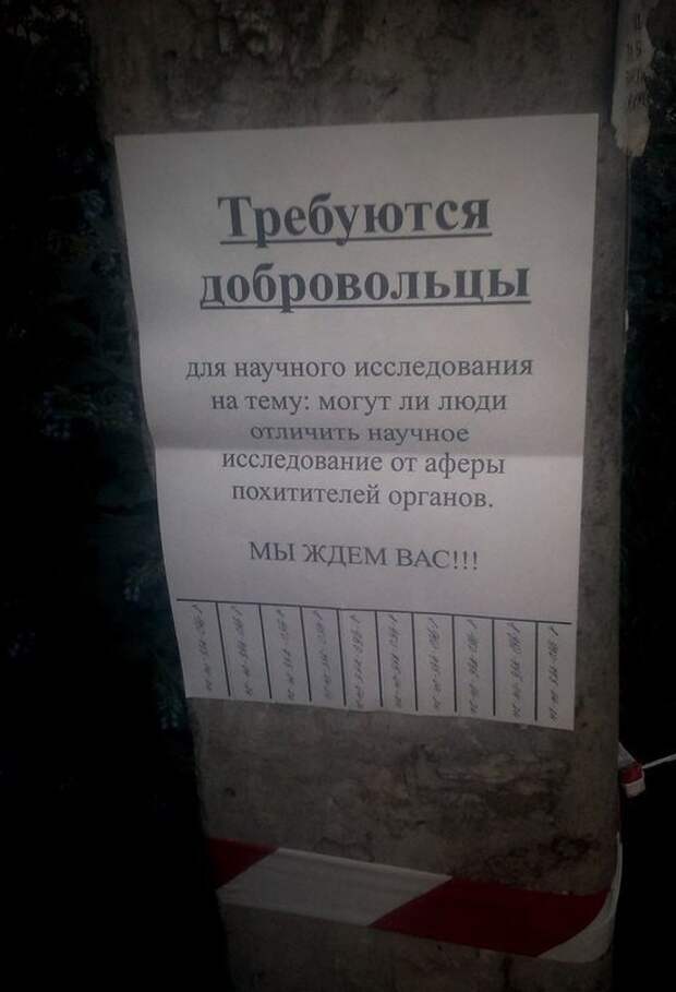 Вроде надёжная контора люди, объявление, прикол, юмор