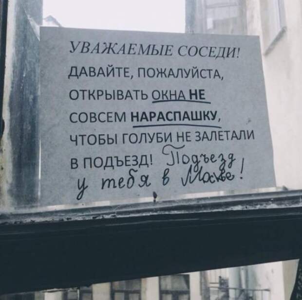 Объявления, мимо которых невозможно пройти.