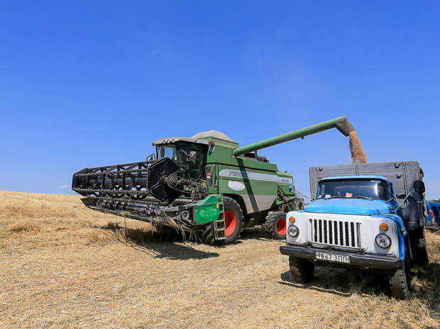 Зерновая сделка уперлась в SWIFT: «Перспектив нет»