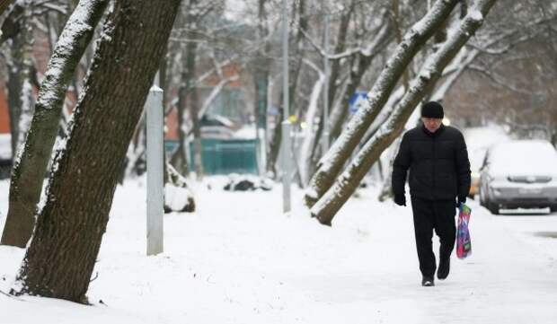 Облачная погода и до 5 градусов мороза ожидаются в Москве 29 декабря