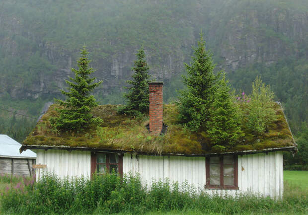 Домики с заросшей крышей, в которых хочется поселиться