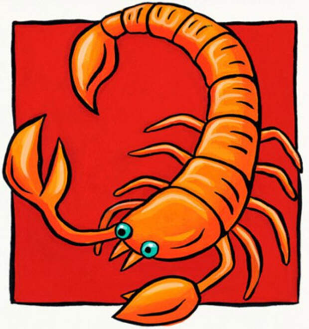 Скорпион Скорпион