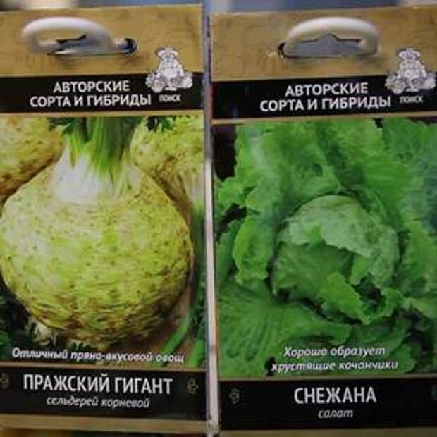 Сорта-гибриды - ГМО или нет?