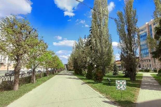 Синоптики рассказали о погоде в Тамбове в праздничные выходные