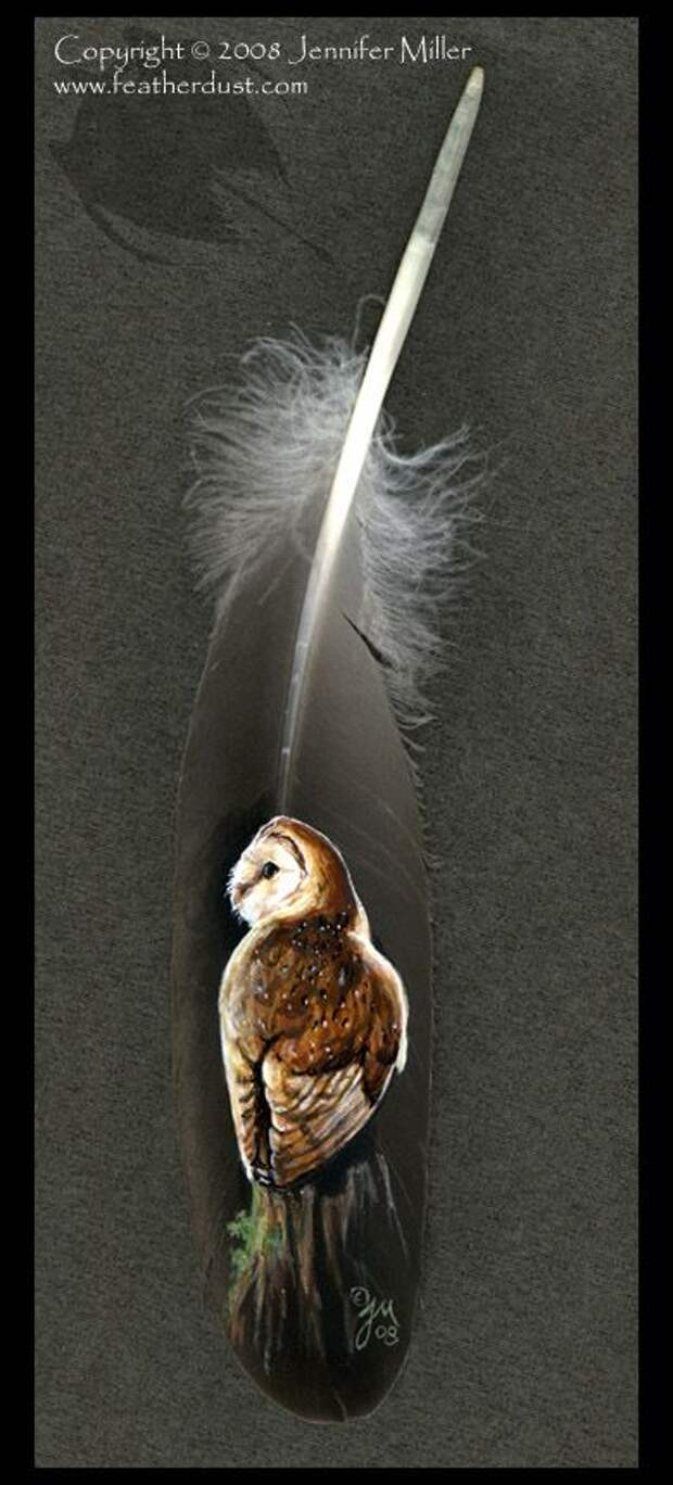 Barn Owl painted feather by Nambroth on deviantART