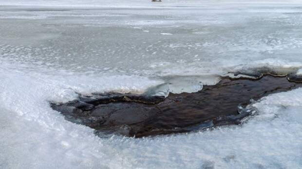 Жительница Перми вовремя вызвала спасателей и предотвратила попадание рыбака в полынью