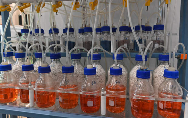 В погоне за пылью: качество воздуха в Петербурге проверяют передвижные лаборатории