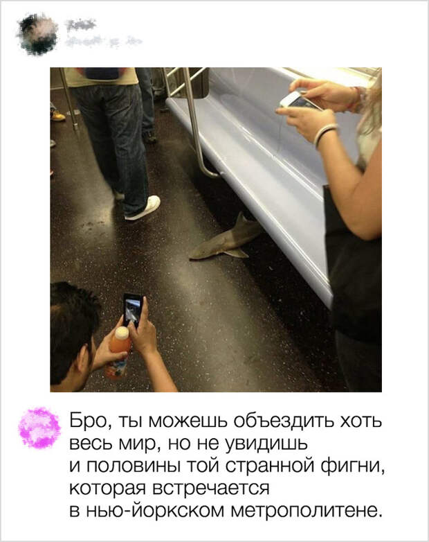 25 фотографий, которые меркнут на фоне комментариев к ним