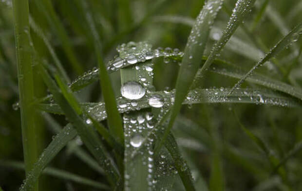 Как утром быстро наполнить своё тело энергией: новые привычки