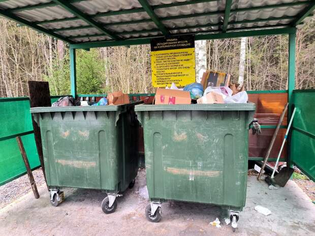 Тюменцев больше не штрафуют за неправильную утилизацию отходов