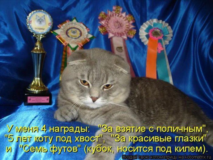 Мысли вслух :)