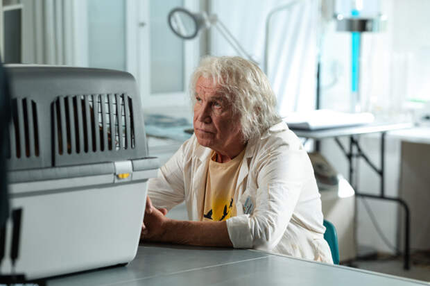 МиГи, боги и другой шум времени: Итоги питчинга иных в Фонде кино в 2025 году МиГи, боги и другой шум времени: Итоги питчинга иных в Фонде кино в 2025 году