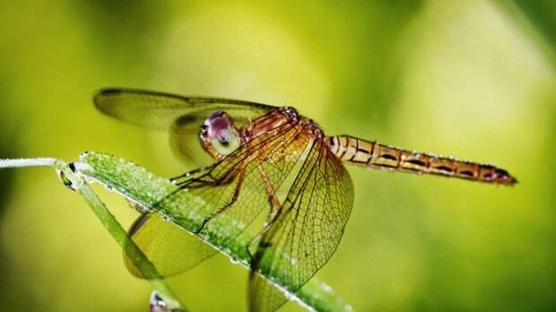 Подборка интересных фактов Подборка интересных фактов