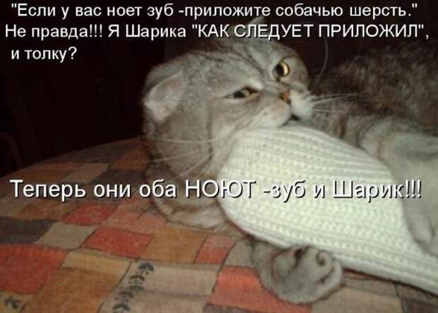 Мысли вслух :)