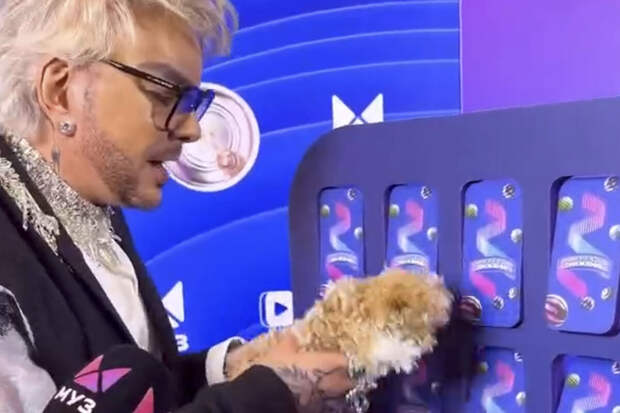 Певец Киркоров признался, что не опасается популярности своего щенка