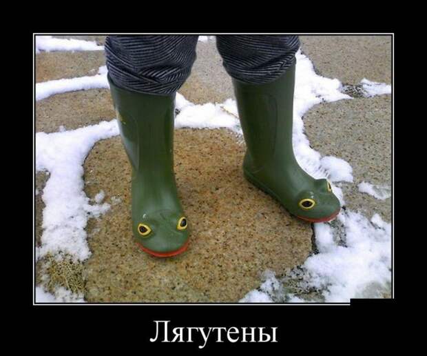 Демотиваторы (30 фото)