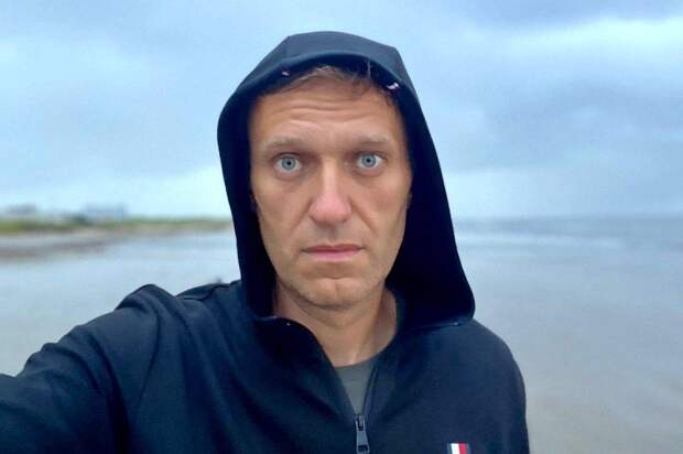 «Этот парень – лишь мелкий раздражитель»: канадцы оценили блогера Навального «Этот парень – лишь мелкий раздражитель»: канадцы оценили блогера Навального