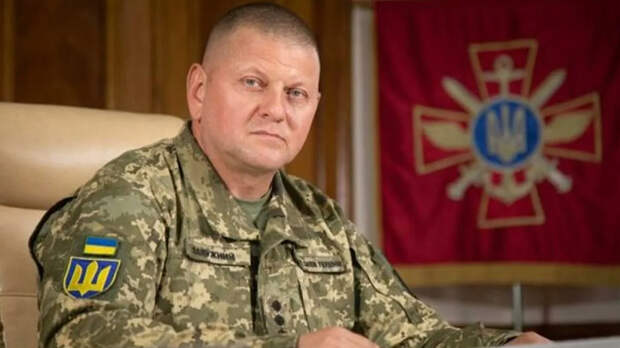 Залужный высказался о замороженных российских активах