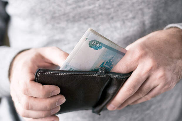 Фото: iStock Медведев призвал сблизить уровень доходов в городах и сельской местности