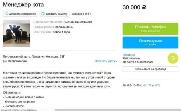 www.vsyako.net
