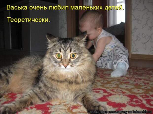 Отличная котоматрица на Бугаге (35 фото)