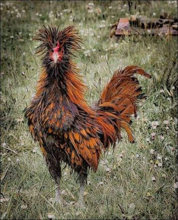 Фотографии с юмором и приколами Фотографии с юмором и приколами