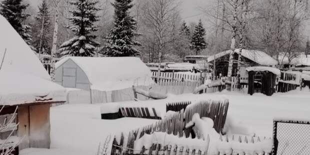 Февраль без сюрпризов: последний месяц зимы обещает быть спокойным