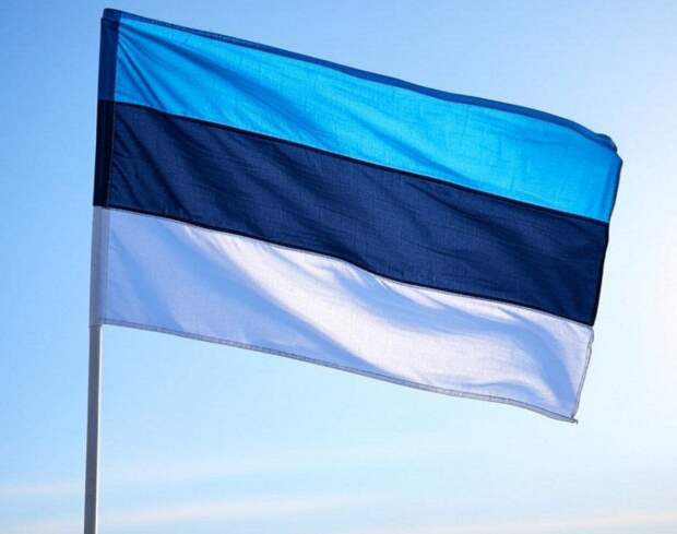 Глава МИД Эстонии резко раскритиковал слова Шредера о России