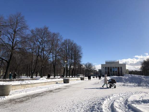 Колесов: морозный период без оттепели в Петербурге продлился более 60 дней