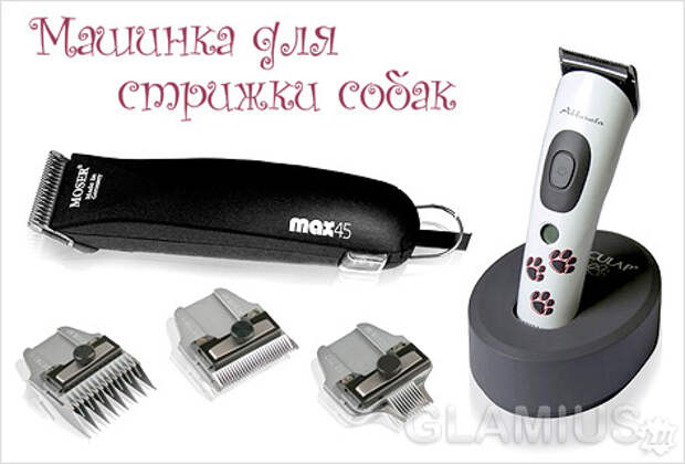 Аксессуары машинки для стрижки собак