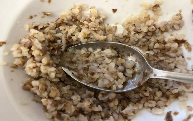 "Переваренная гречка, все холодное": родители критикуют питание в школах Рязани