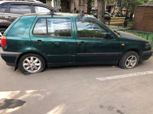 Жилищник Сокола